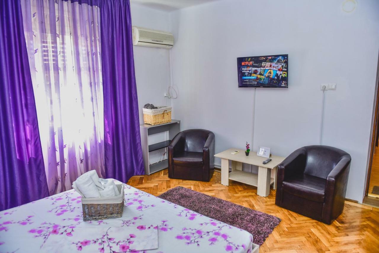Vila Arjana Orşova المظهر الخارجي الصورة